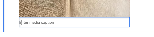 Caption field