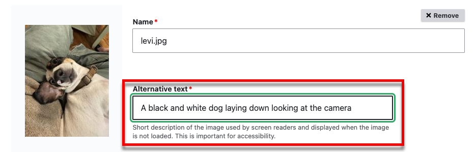 The alternative text field