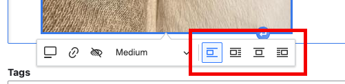The alignment buttons