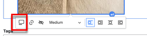 The caption button
