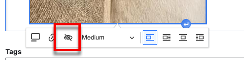 The override alternative text button