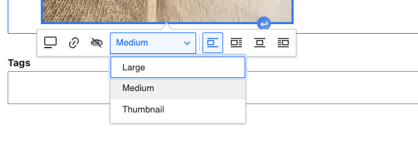 The view mode select field with thumbnail, medium and large options