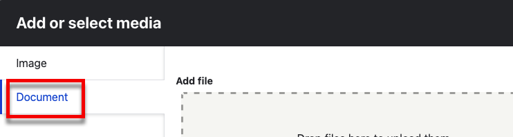 The document tab