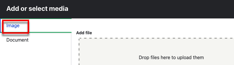 The image tab