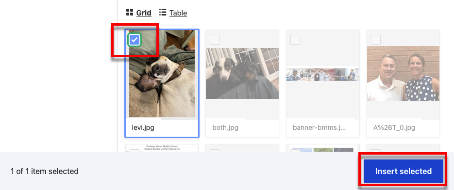 The media library with the checked image and Insert selected button emphesized
