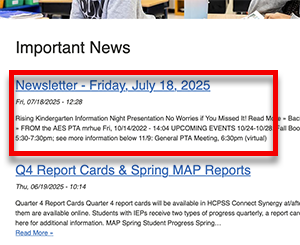 A newsletter in the news feed