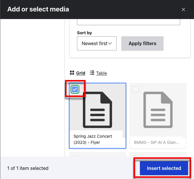 The media browser with a document selected and the Insert selected button emphesized